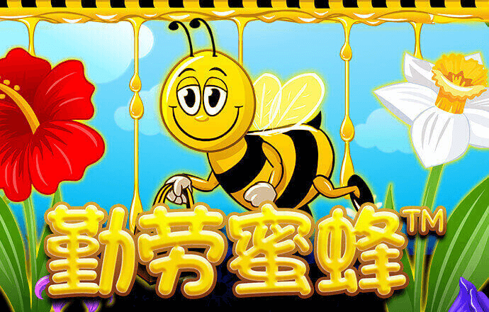 金搏体育